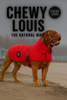 Chewy Louis — Puffer Jackets DUE MAY 2026