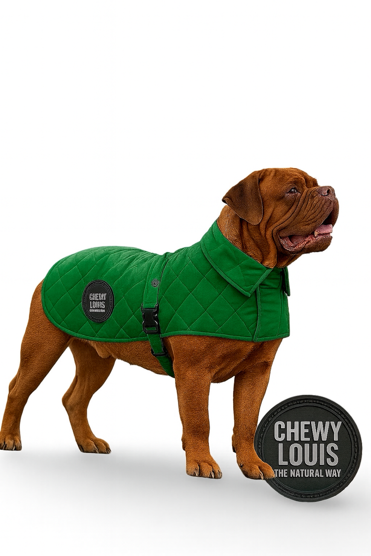 Chewy Louis — Puffer Jackets DUE MAY 2026