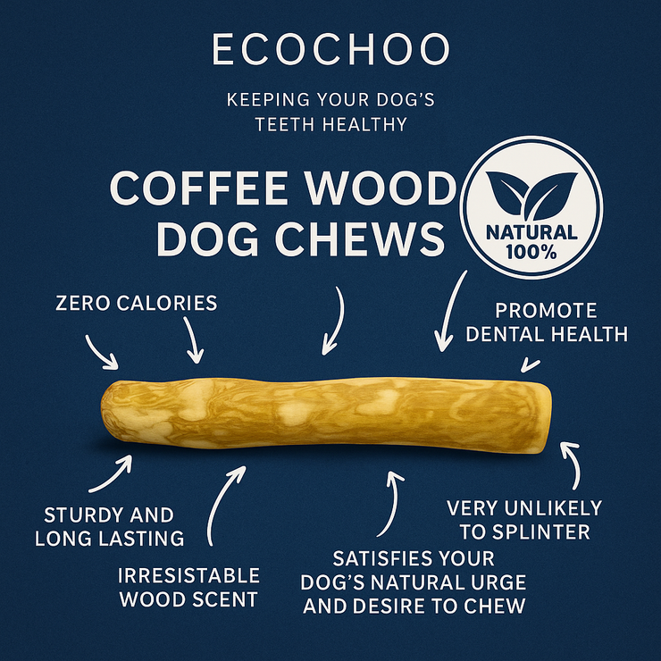 Chewy Louis Multi-Pack 6