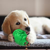 Sky Blue Dispenser Dog Chew Toy