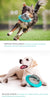 Sky Blue smart new design hot sale portable pet feeder