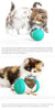Black Pet multifunctional food dispending toy for dog & cat