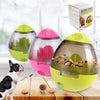 Dog Treat Ball With Food Dispenser