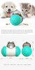 Green Pet multifunctional food dispending toy for dog & cat