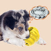 Red Dispenser Dog Chew Toy