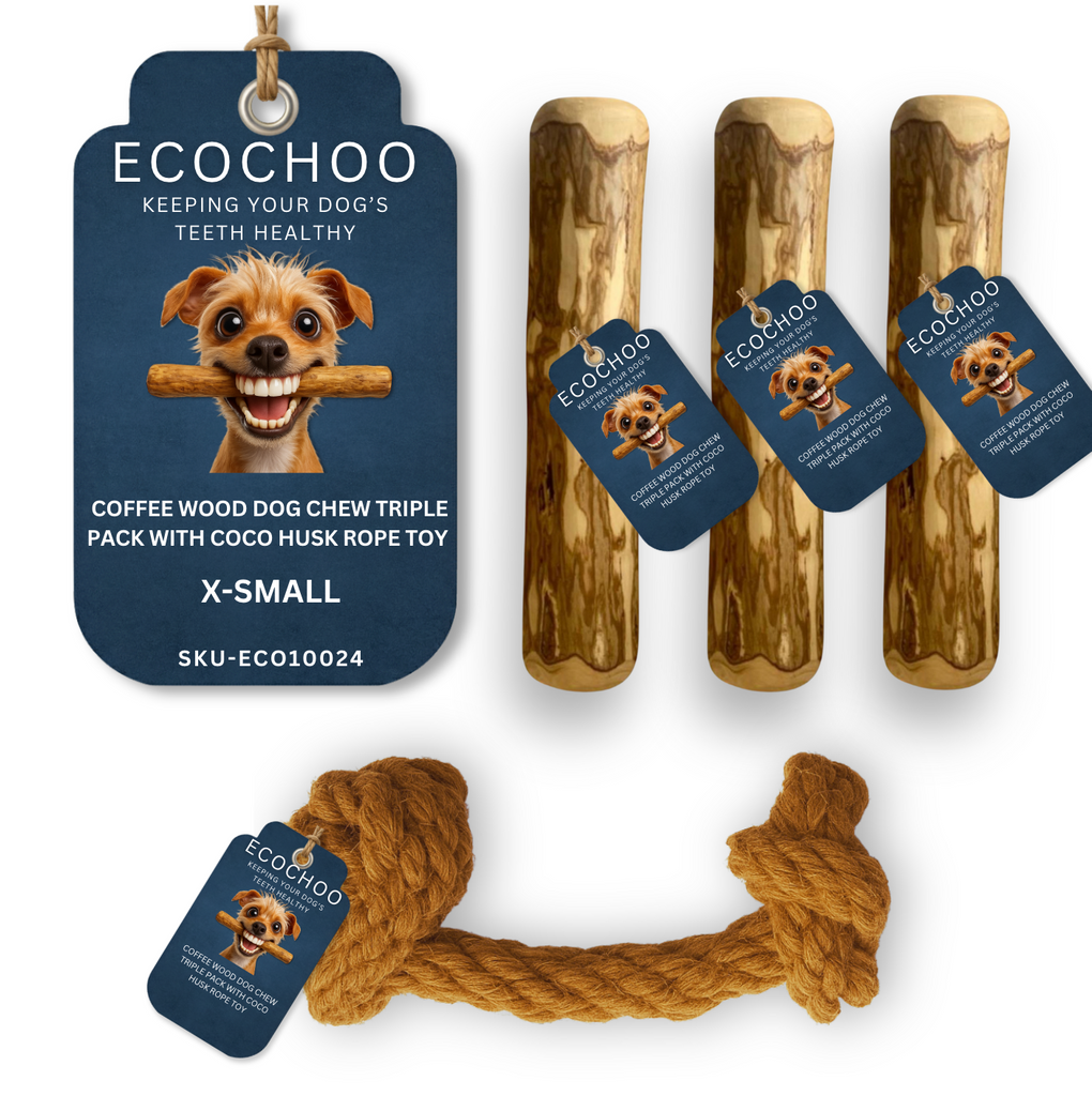 MULTI - PACKS WITH STICKS 6