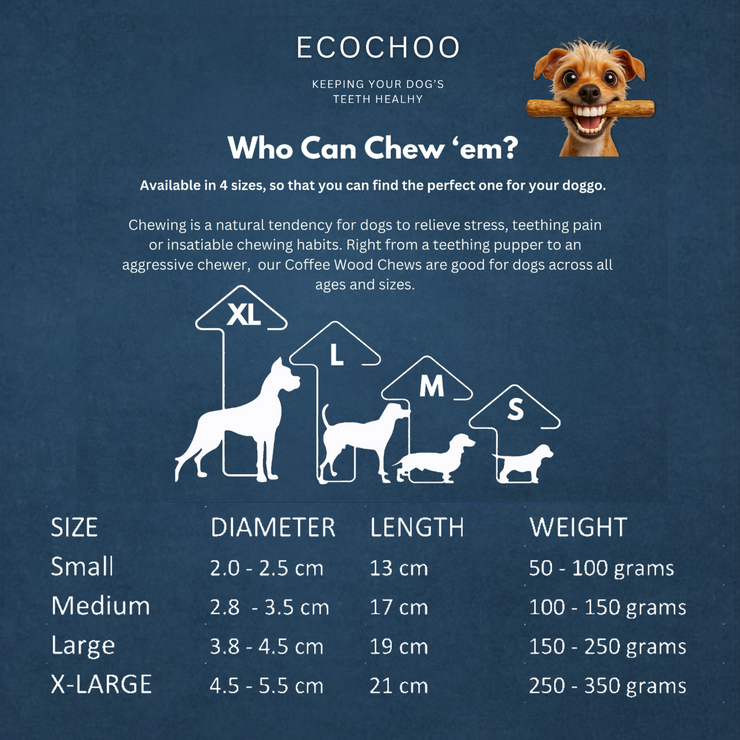 Chewy Louis Single Toys 3