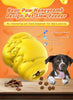 Orange Dispenser Dog Chew Toy