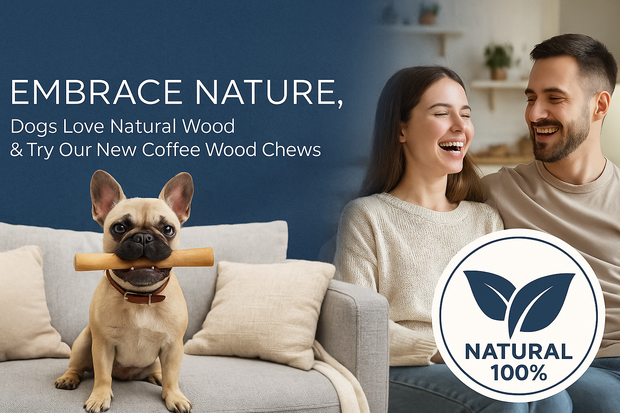 Chewy Louis Multi-Pack 1