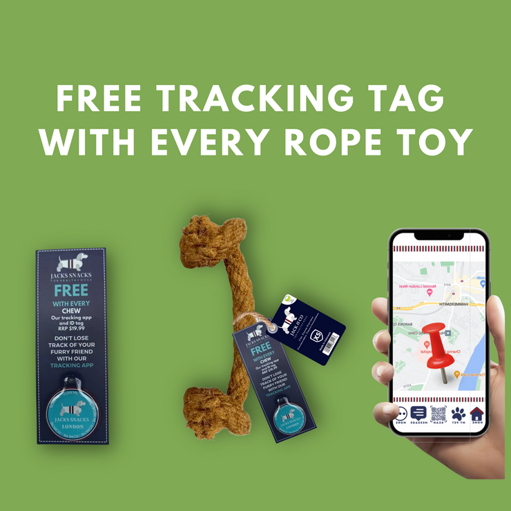 Big Kong Gorilla Chew - XL