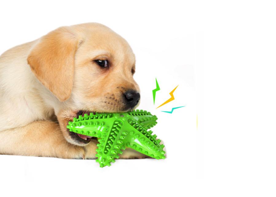 Green Star Fish Dog Chew Teeth Cleaning Toy