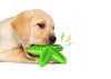 Green Star Fish Dog Chew Teeth Cleaning Toy