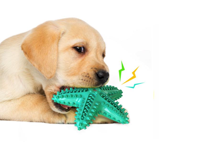 Aqua Star Fish Dog Chew Teeth Cleaning Toy