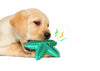 Aqua Star Fish Dog Chew Teeth Cleaning Toy