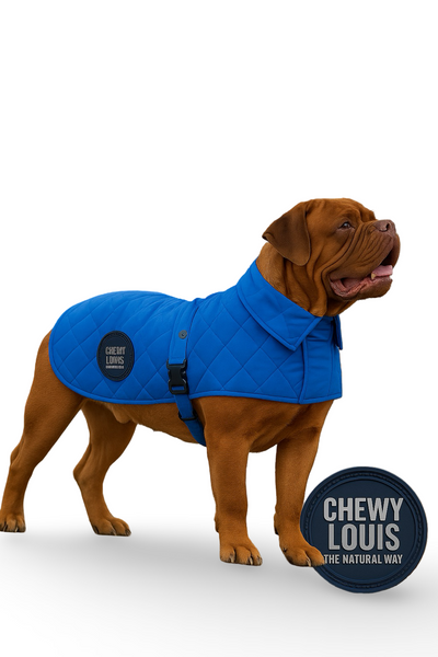 Chewy Louis — Navy Quilted Dog JacketDUE MAY 2026