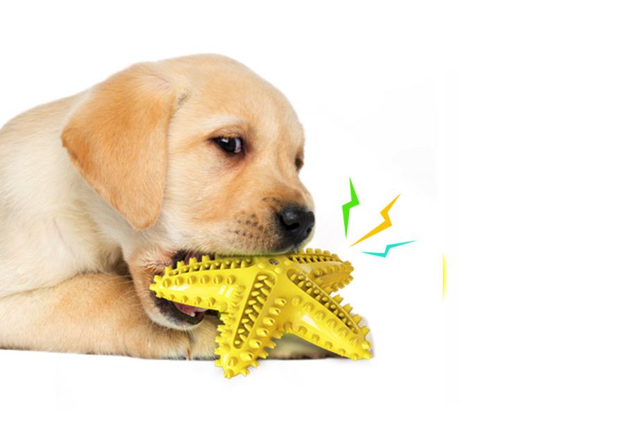Yellow Star Fish Dog Chew Teeth Cleaning Toy